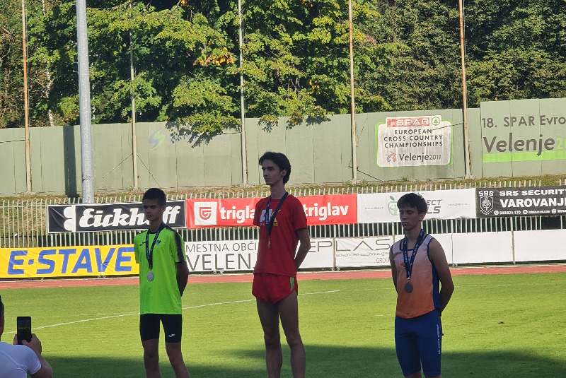 Slika novice